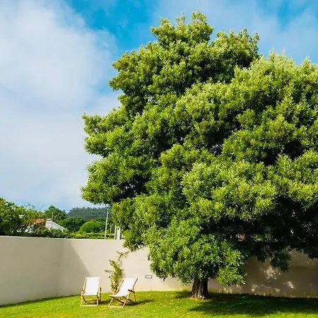 Rustic Haven With Pool * Viana do Castelo